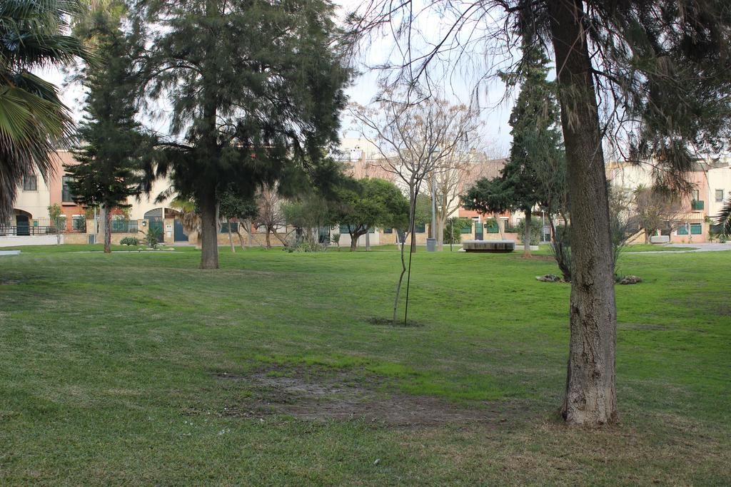 Apartamento La Venencia Jerez de la Frontera Bagian luar foto